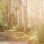 Salmon Valley Campground 4