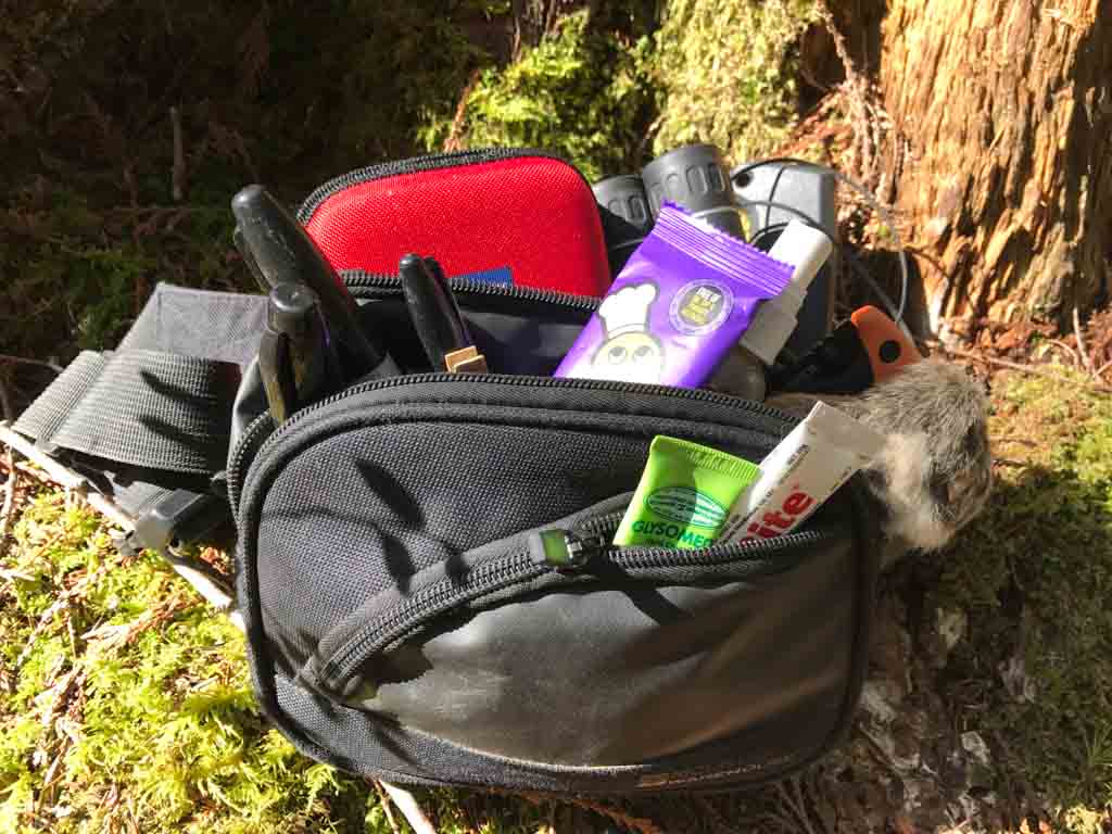 what-to-pack-for-a-family-hike-gear-bag
