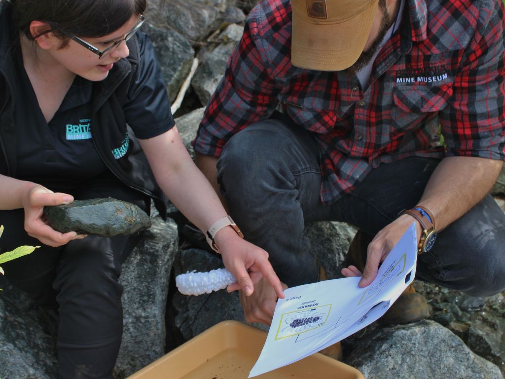 staff member at britannia mine showing someone a fossil rock sample