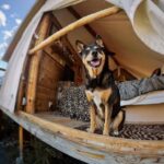 Glamping Hub 1
