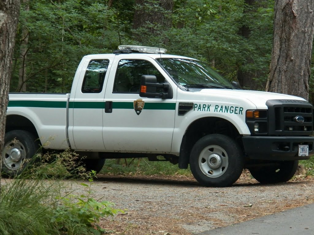 park-ranger-truck-wildlife-safety-while-camping