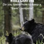 Wildlife Safety While Camping – social warfare (2)
