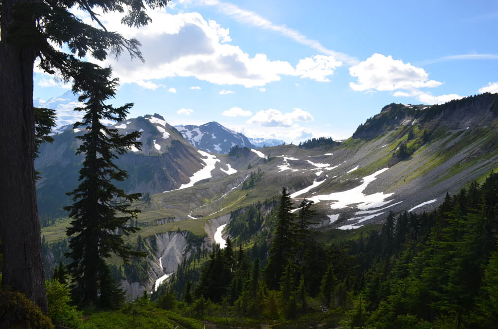 Mount Baker for Summer Day Trips From The Glen 