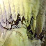 Horne Lake Cave Tours (31 of 41)