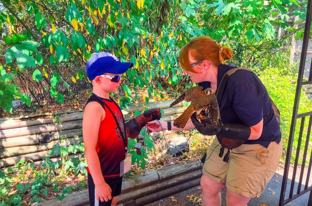 Boy with staff member at the Pacific Northwest Raptors