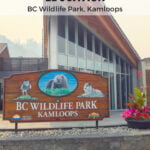 BC Wildlife Park – pinterest