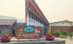 bc-wildlife-park
