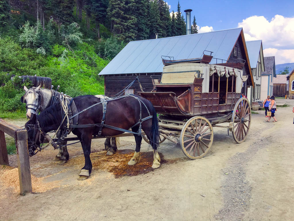 stagecoach-rides-horse-and-carriage-barkerville