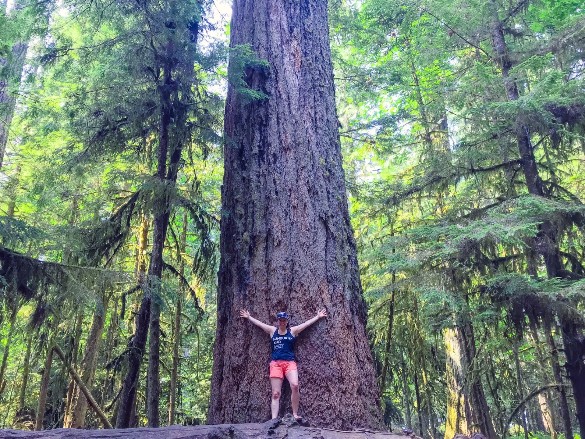 woman-in-front-of-huge-tree