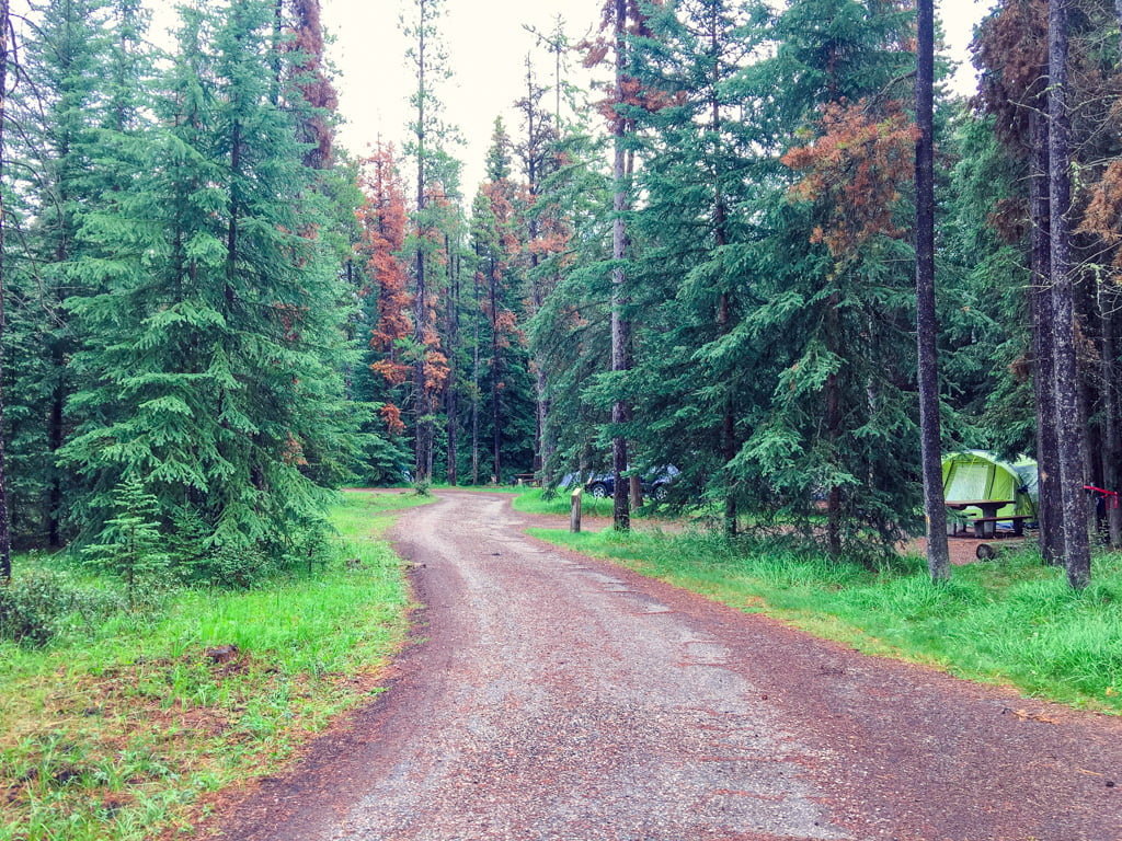 road-in-whistlers-campground