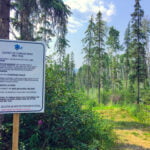 Tumbler Ridge (16 of 24)