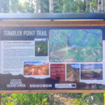 Tumbler Ridge (4 of 24)