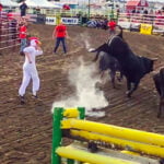 strathmore stampede bullriding