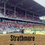 strathmore stampede pinterest