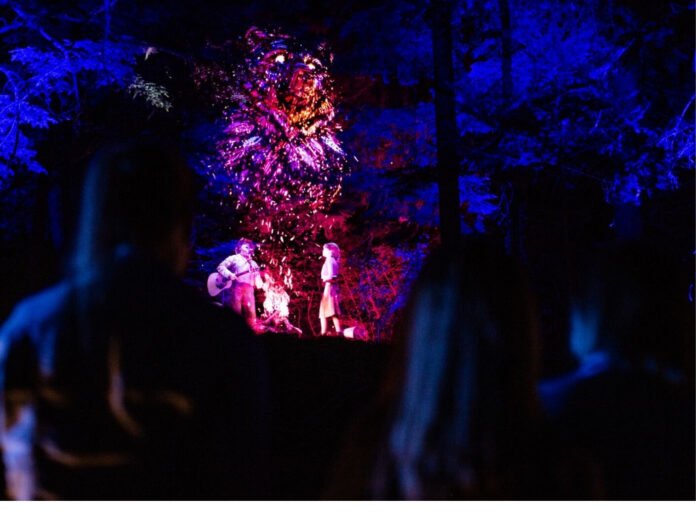 Vallea Lumina Review Your 2024 Adventure Guide To Whistler's Night