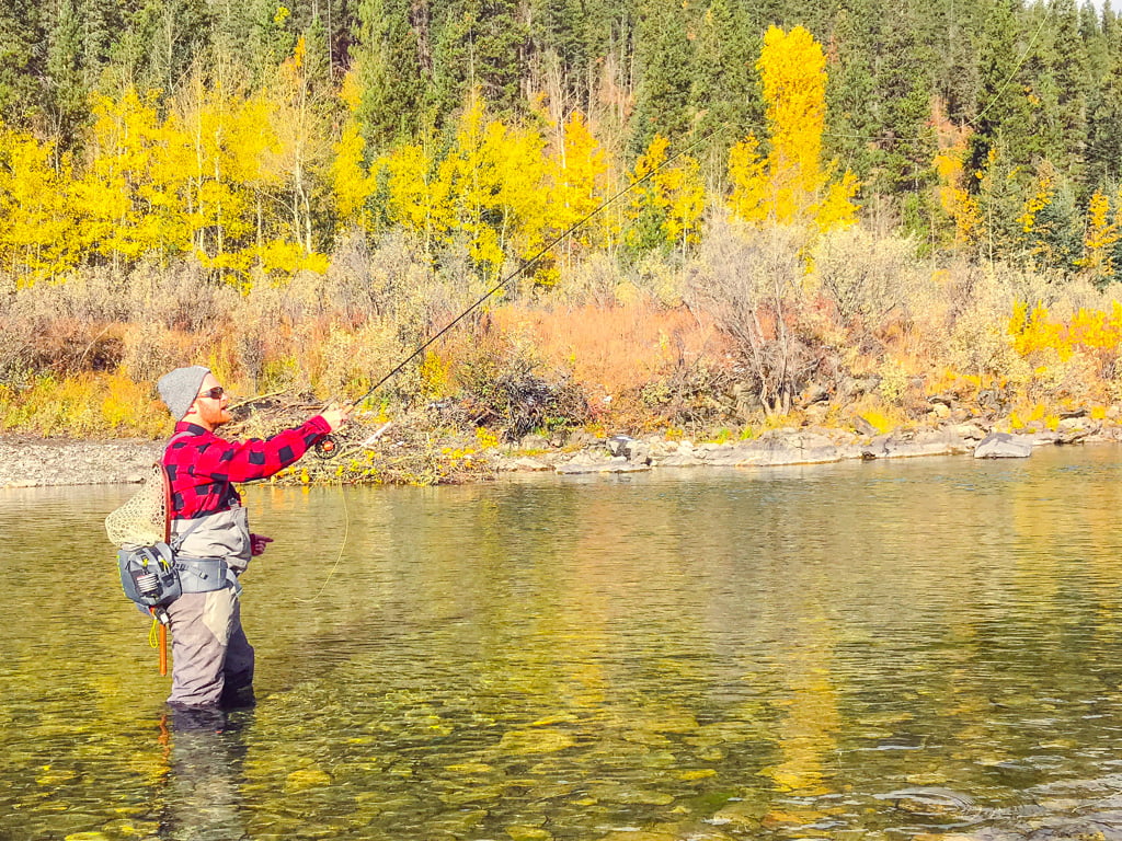 fly fishing trip alberta