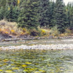 Fly Fishing Alberta (32 of 32)