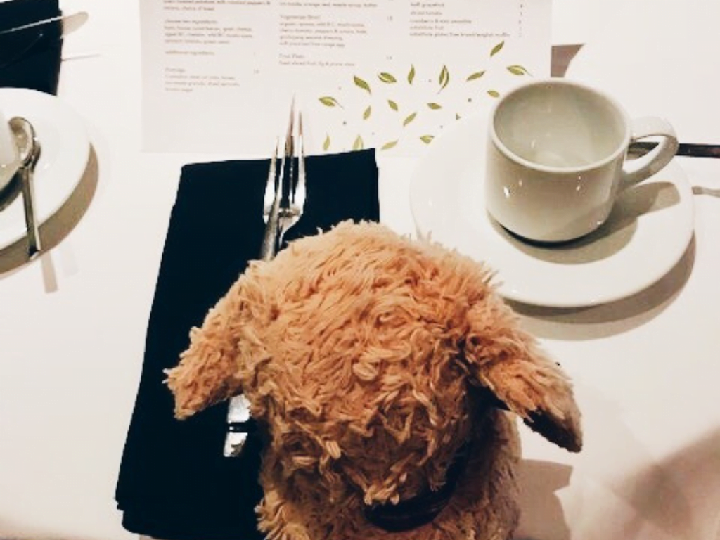 stuffed-puppy-in-restaurant