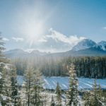 Discover Banff Tours 2