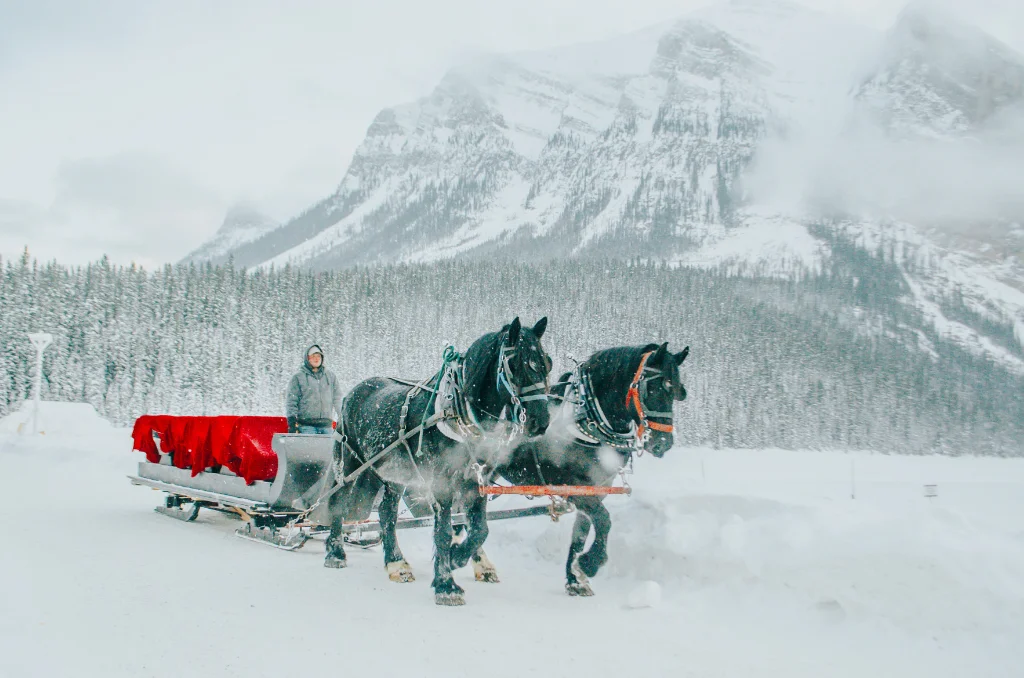 horse-drawn-sleigh-on-lake-louise