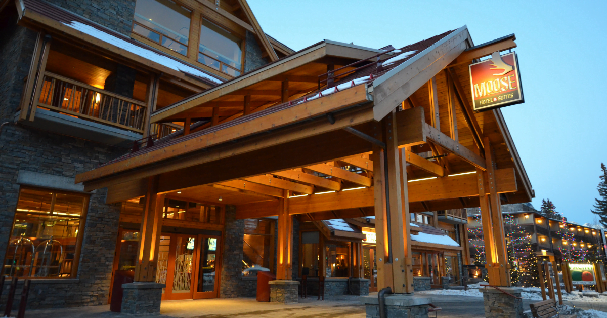 The Moose Hotel Banff Moments, Memories, and a Giant Moose