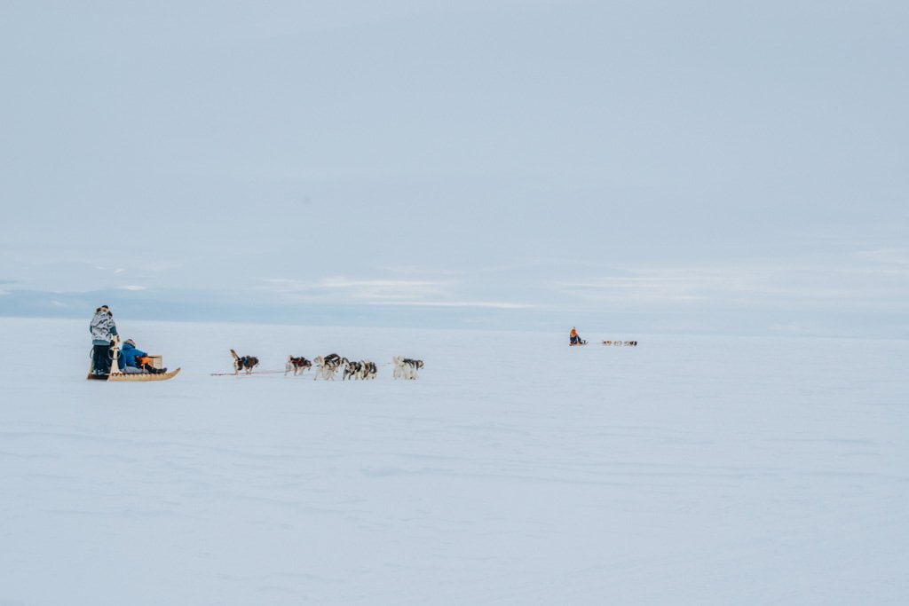 Iqaluit dogsledding tours