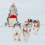 Iqaluit dogsledding tours: Dogsledding Across the Arctic – sp