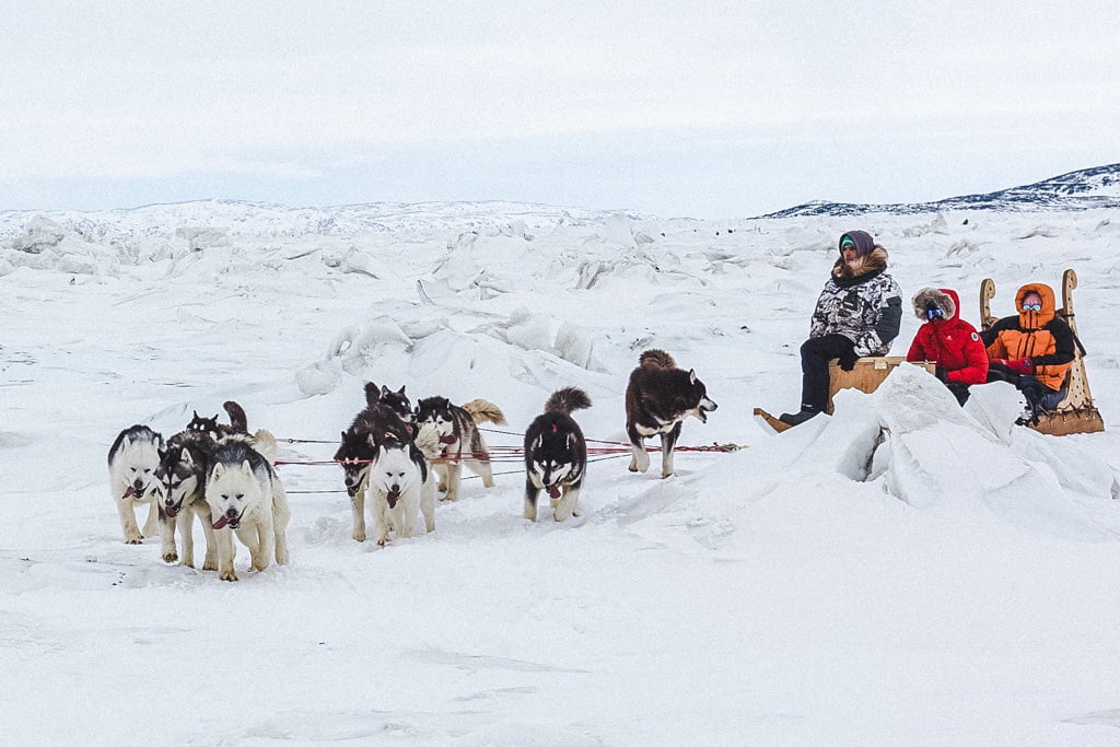 Iqaluit Dogsledding Tours: My Day Dogsledding Across The Arctic