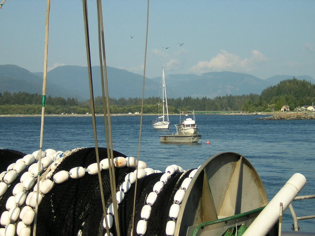 view-of-fishing-boats-in-port-renfrew