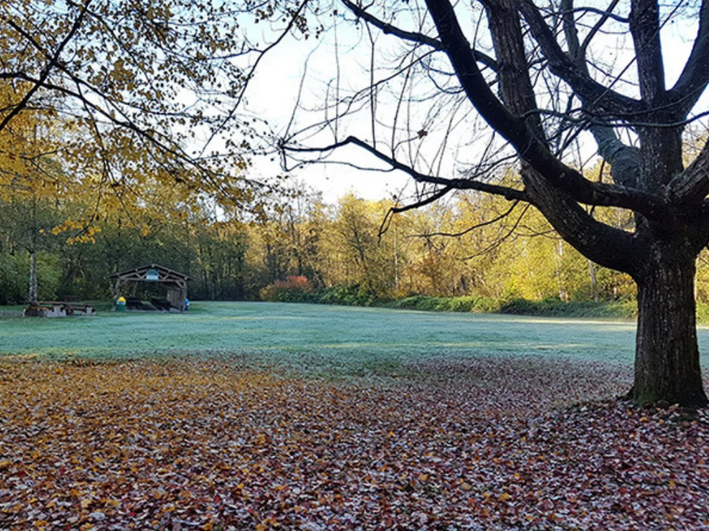 Where to have a campfire in Vancouver aldergrove regional park