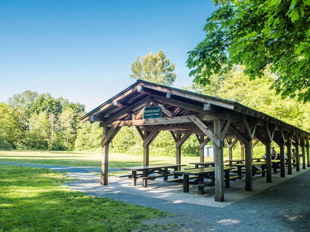 covered picnic area at campbell valley regional park Where to have a campfire in Vancouver