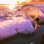 Lensball Tofino