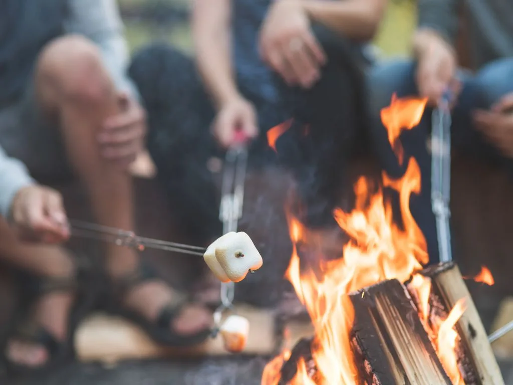close up of marshmallows roasting on a campfire, people sitting around the fire can be seen blurry in the background