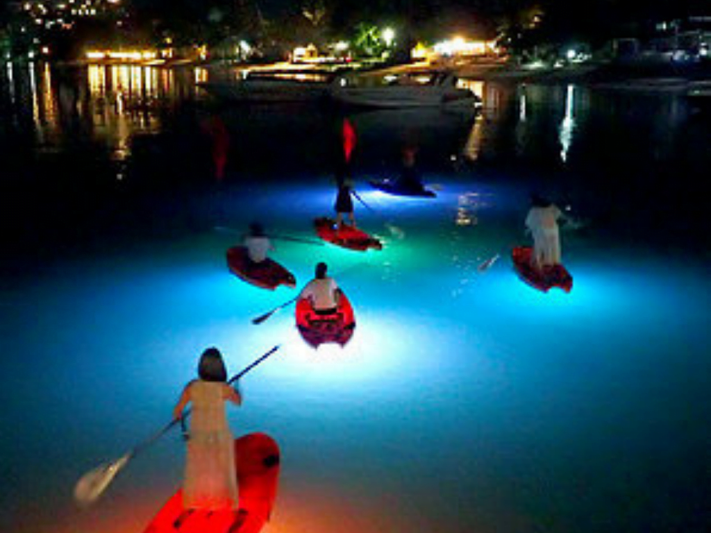 people on paddleboards and kayaks while on a Night Paddleboarding Vancouver tour