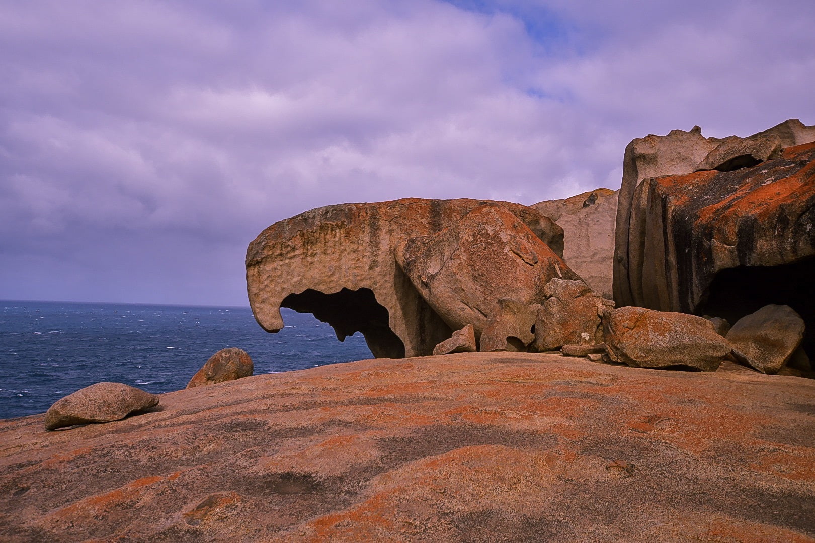 flinders chase national park is one of the things to do on kangaroo island south australia