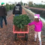 How to create your own Christmas Family Traditions