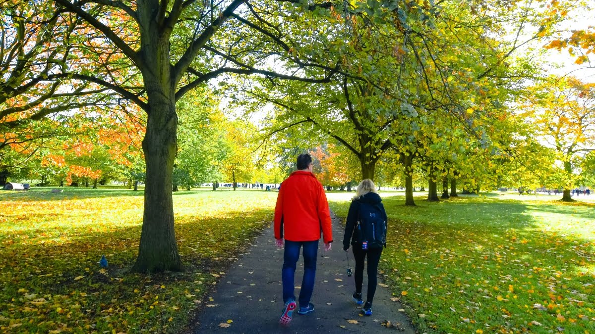 Man and woman walking in a park together