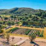Cooking Classes in San Jose Del Cabo-16