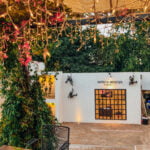 San Jose Del Cabo Waling Tour