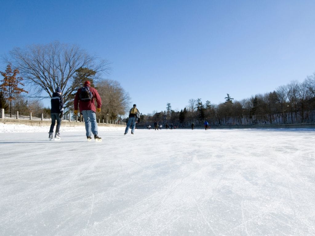 people skating on the rideau canal away from the main city, trees line the sides