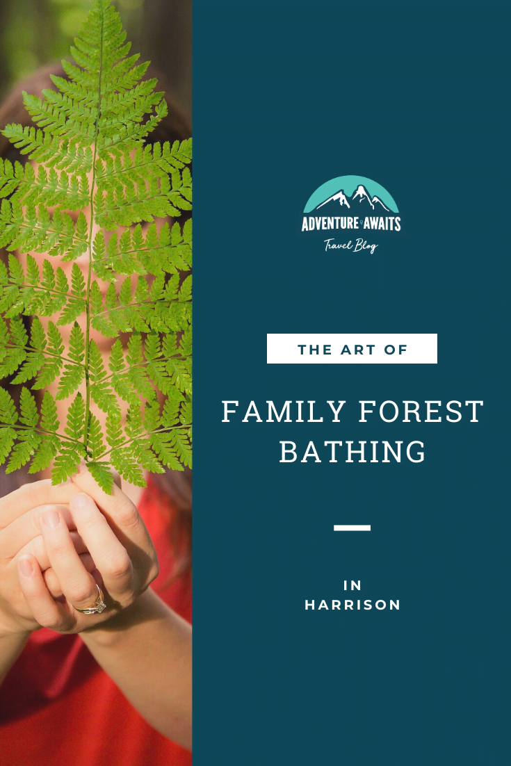 Forest Bathing in Harrison