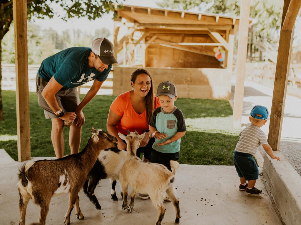 Family friendly petting zoo at a Langley farm tour