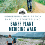 banff plant medicine walk