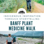 banff plant medicine walk