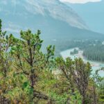 Family Mountain Biking Tour In Banff-02