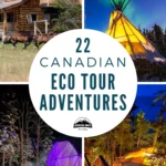 collage photo of 4 out of 22 canadian eco tour adventures