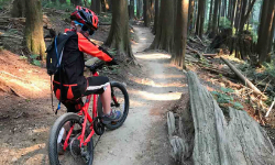 kid biking through the forest on a trail