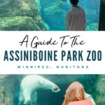 A-Guide-to-Assiniboine-Park-Zoo-Pinterest-1