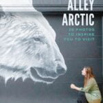 Back-Alley-Arctic-Pinterest-1