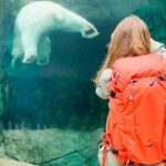 Family-Trip-to-Winnipeg-Bears-at-Zoo
